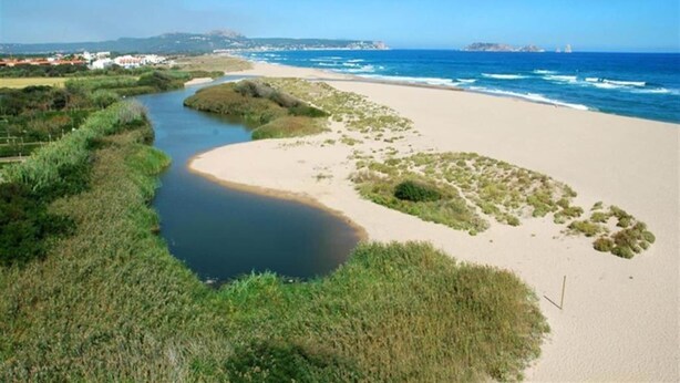 Un paysage côtier avec une plage de sable, une rivière et de la végétation.