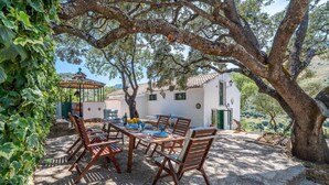 Une terrasse en pierre avec une table et des chaises en bois, entourée d’oliviers et d’un bâtiment blanc aux volets verts.