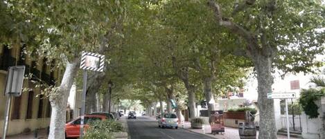 A tree-lined street with parked cars and a pedestrian crossing.