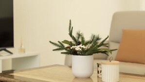 A modern living room with a wooden coffee table, a white vase with greenery, a television, and a framed picture on the wall. - 3Beds Vibrant Home Steps to Mall & Transport (Sunnybank)