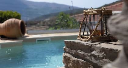 Villa "Dandolo" La Fleur Andros