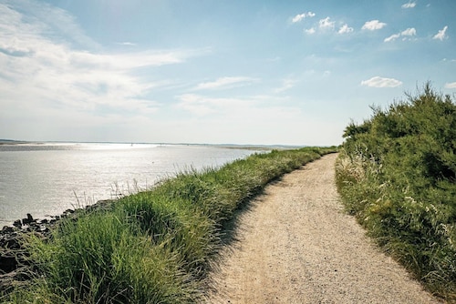 : Charming Bright Studio 