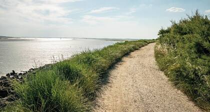 : Charming Bright Studio