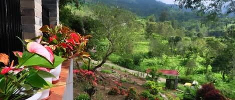 Terrein van de accommodatie