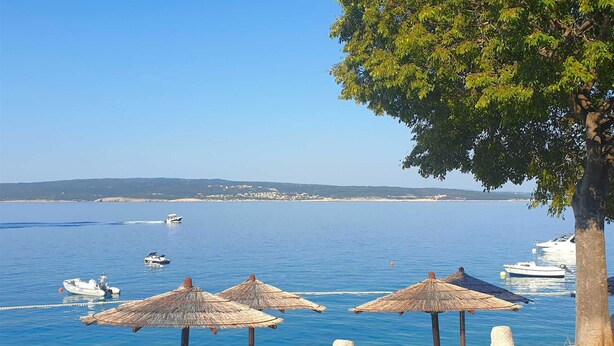 A coastal view with a clear sky, a tree, and several boats on the water. - Studio+free parking, 100m to sea (Crikvenica)