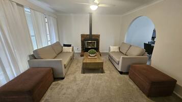 TV, fireplace, video games, DVD player