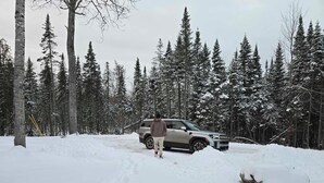 Bosque nevado con un vehículo y una persona caminando.