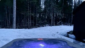 Un jacuzzi en un bosque nevado.