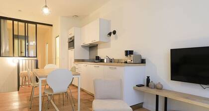 Dv2 Souplexâ Hyper-centre Toulouse- Jean JaurĂšs