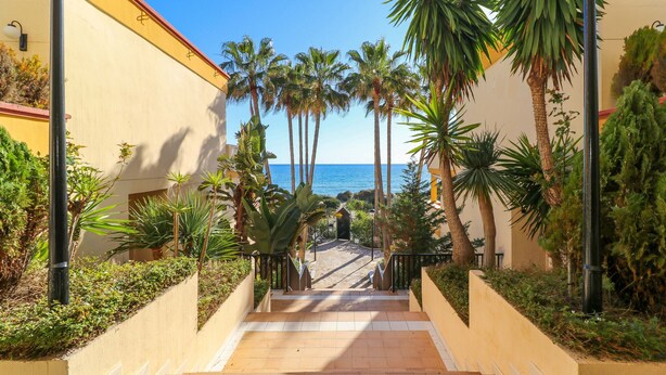 Un sentiero che porta a una spiaggia con palme e un cielo blu limpido.