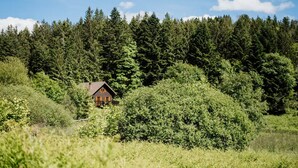 Una cabaña resguardada en medio de un bosque frondoso, con cielo despejado.