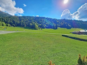 A rural landscape with a clear sky, a green field, a forested hill, and a building with a sloped roof.