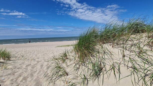 Een strand met zandduinen en schaarse begroeiing.