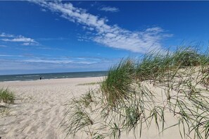 Una playa con dunas de arena y vegetación escasa.