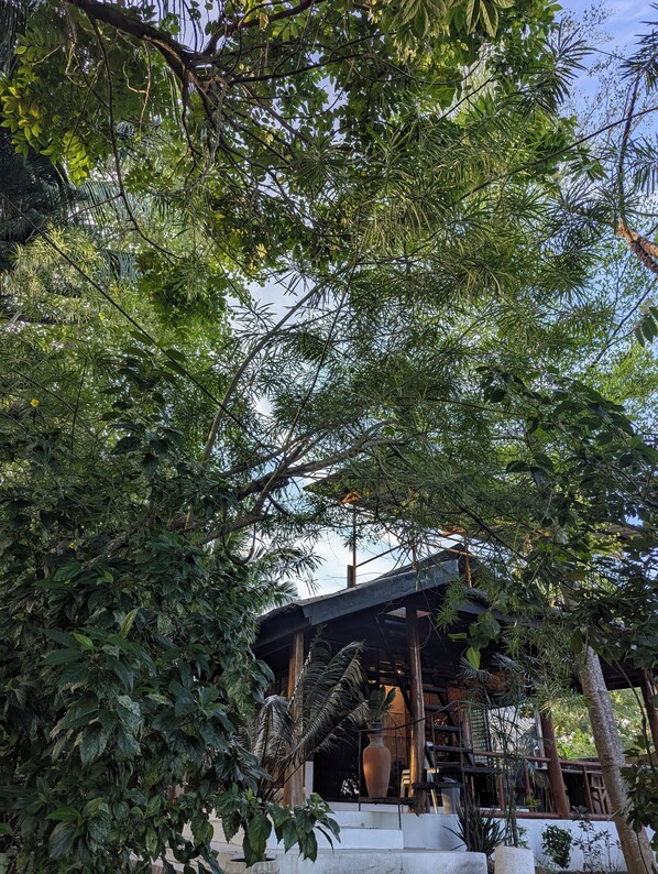 المنشأة من الخارج