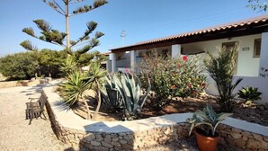 A house with a stone foundation, surrounded by various desert plants and a bench. - Residence Lo Zodiaco (Lampedusa)