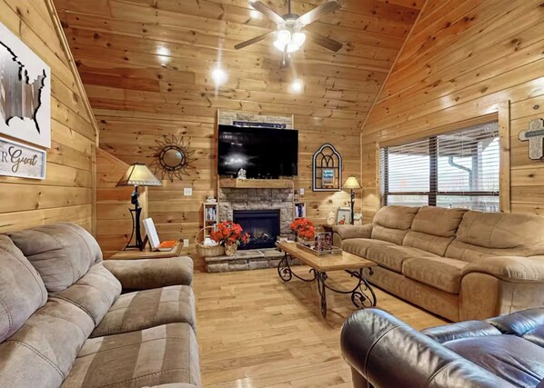 Televisión, chimenea y reproductor de DVD 