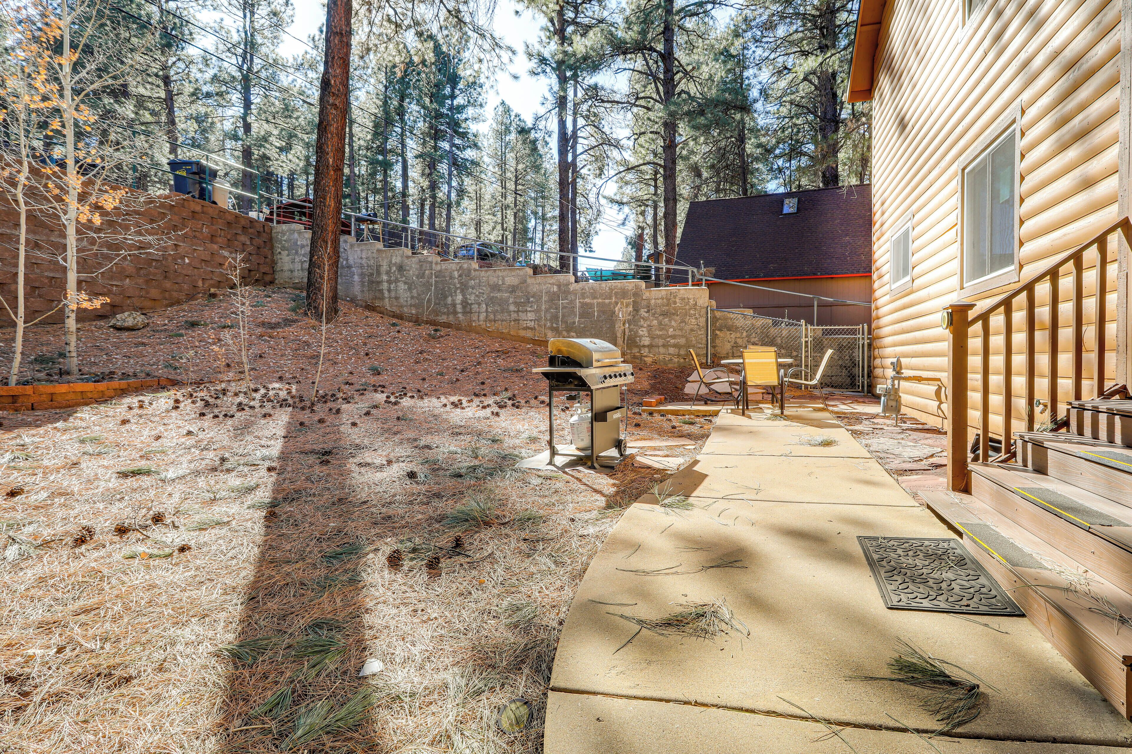 Une cabane en bois avec un patio en béton, entourée d’arbres.