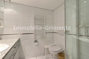 A modern bathroom with a glass shower enclosure, a white toilet, and a granite countertop with a sink. - Comfortable studio on 2 levels for 2 to 4 people, living room with 1 divan bed, kitchen area, mezzan (Grimentz)