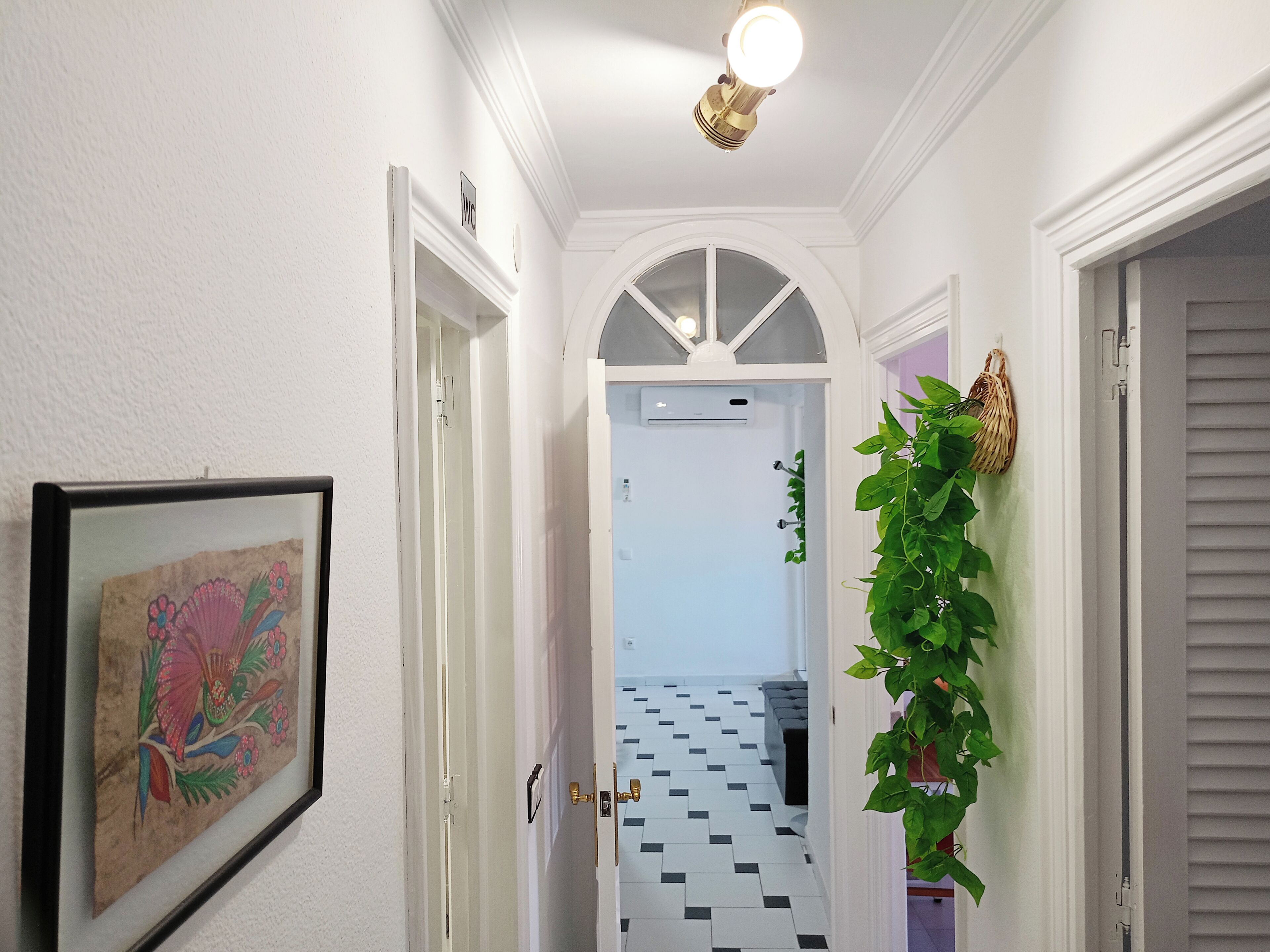 Photo - Angosta Host