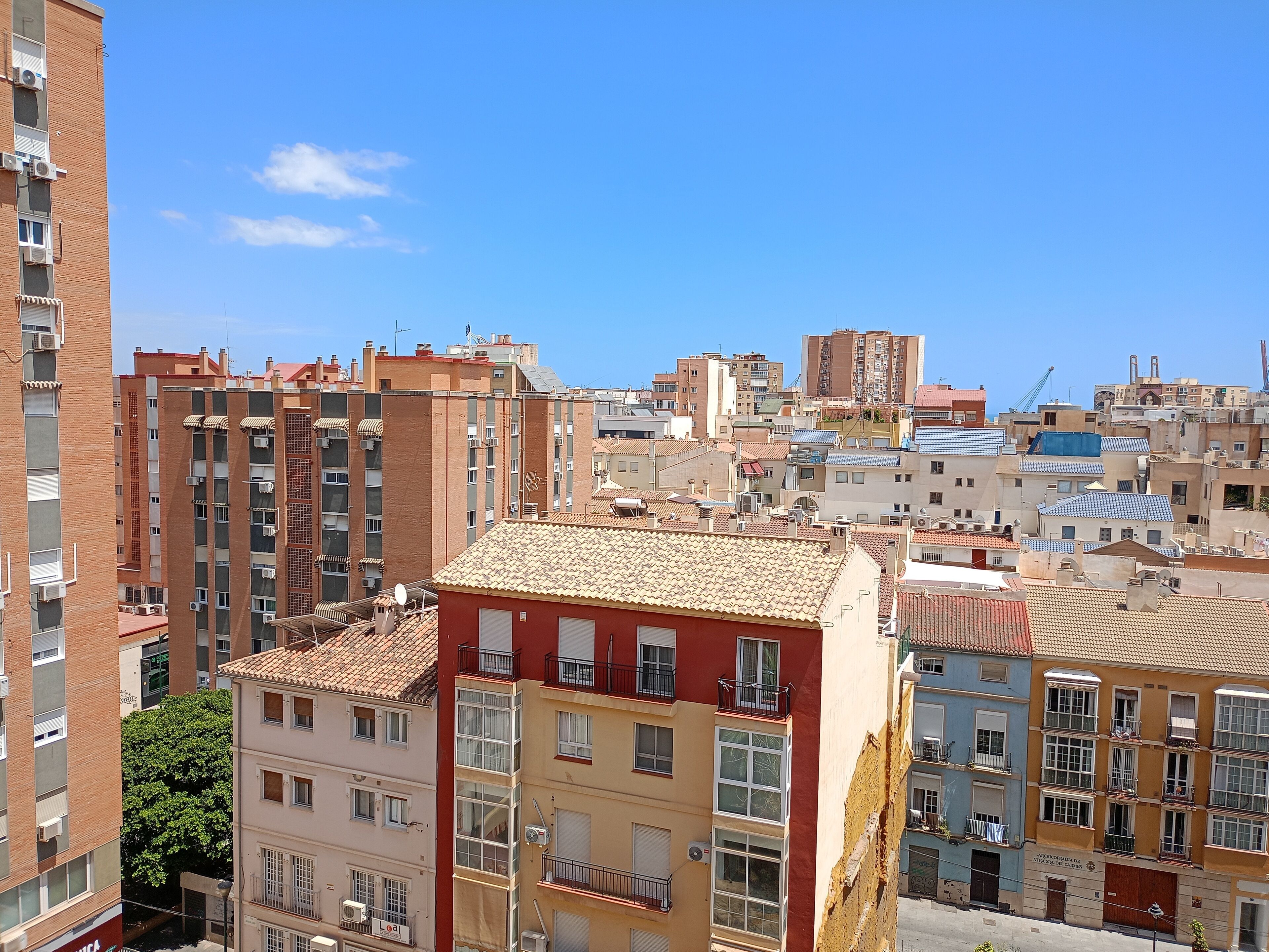 Photo - Angosta Host