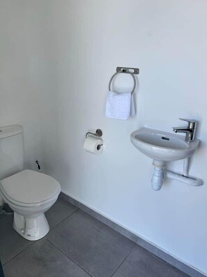 Douche, sèche-cheveux, serviettes fournies, papier toilette