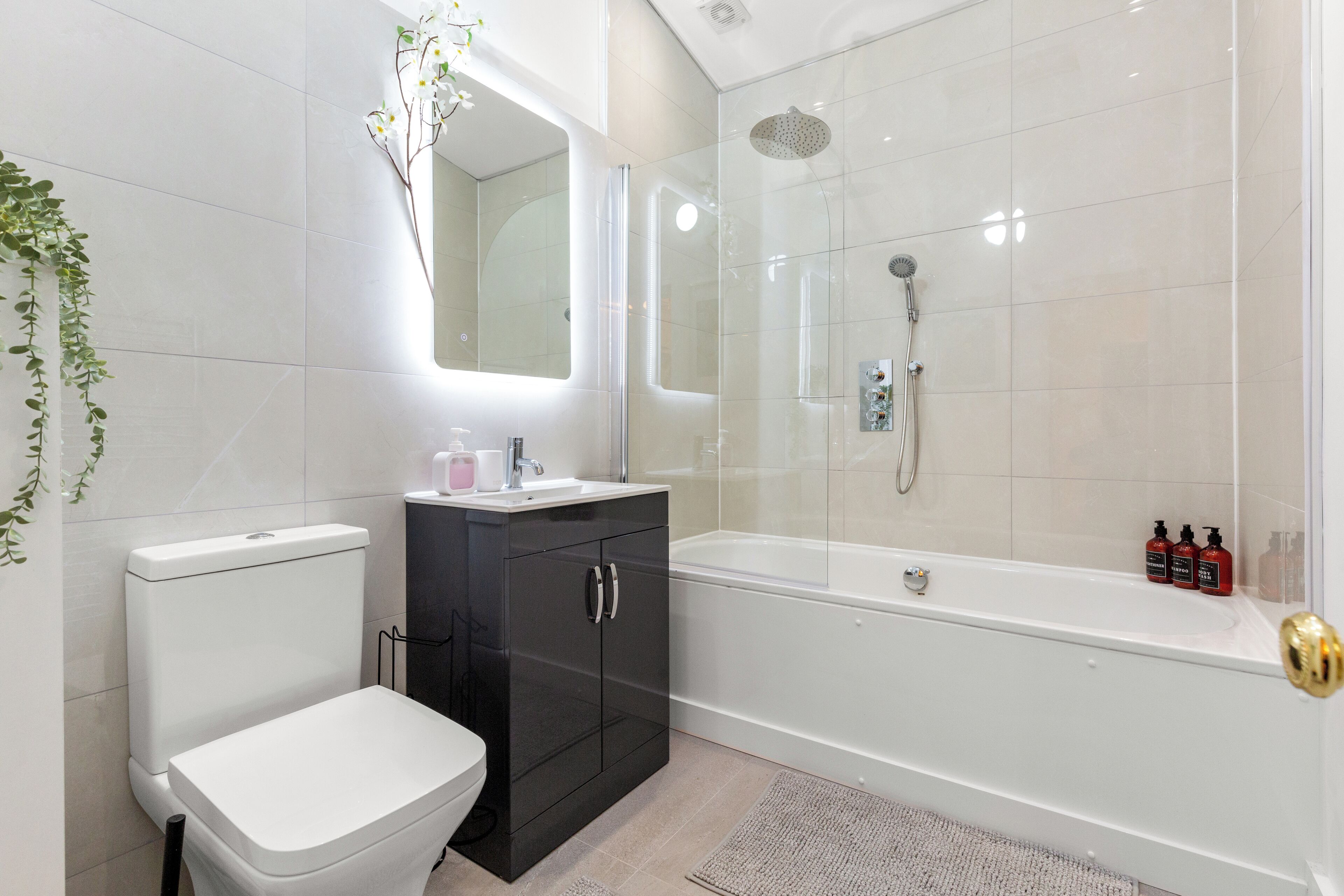 Hair dryer, towels, soap, toilet paper