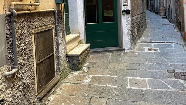 A narrow stone-paved street with a green door and a flower-decorated window. - CORNABRUGIA: Modern Open Space with Private Patio - AC & 2' to Beach (Vernazza)