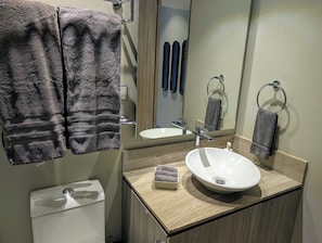 Douche, séchoir à cheveux, serviettes fournies, savon