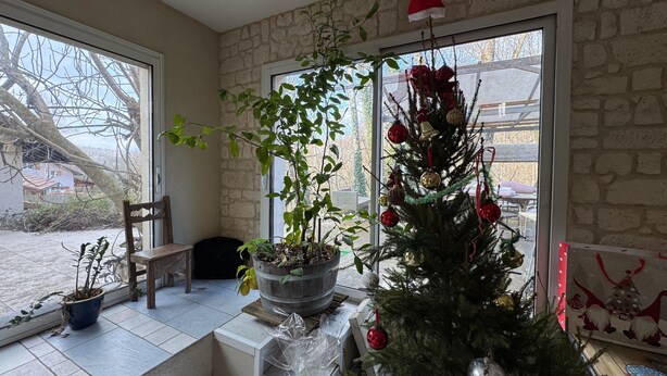 Una habitación con pared de piedra, un árbol de Navidad, una planta en maceta, una silla de madera y una ventana con vista a una casa y árboles.
