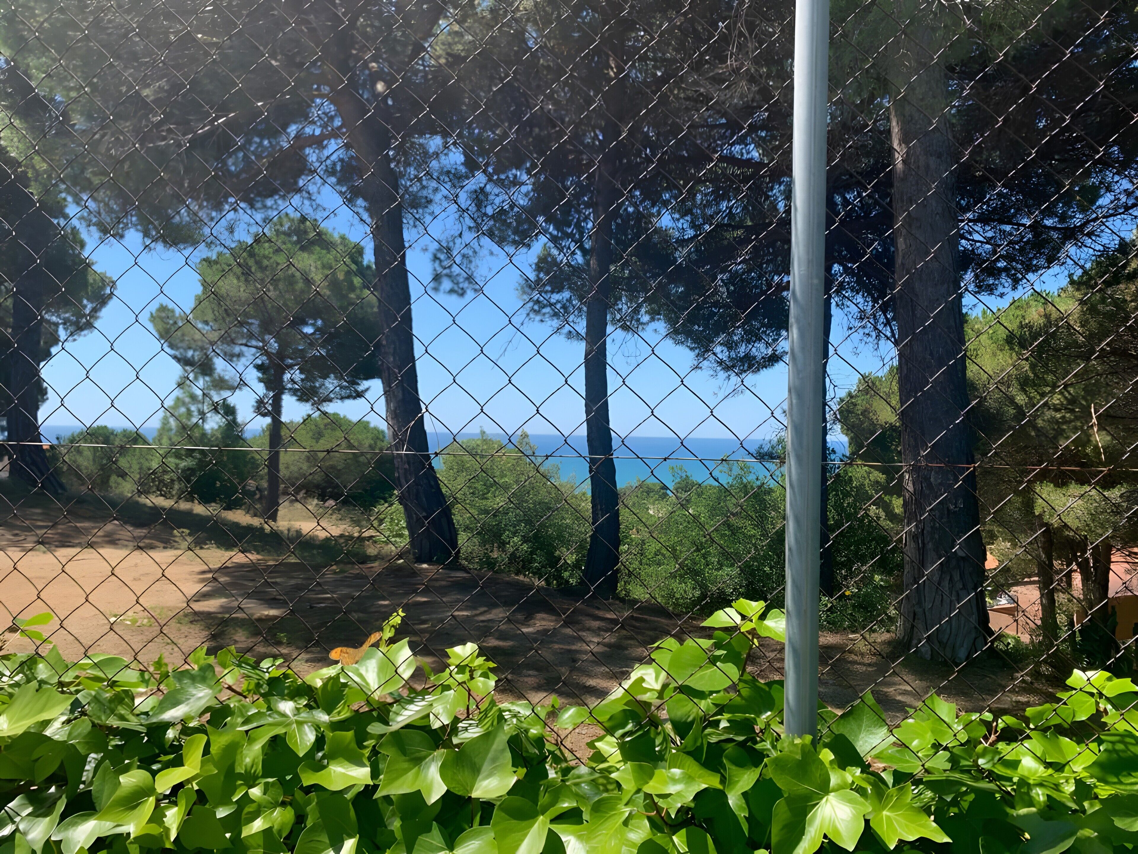 Terrein van de accommodatie