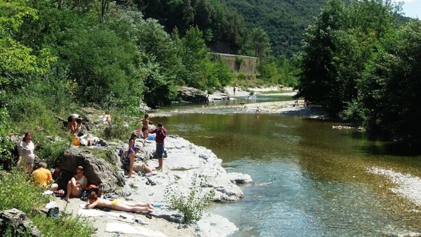 Orilla de río con gente descansando y tomando el sol, rodeada de abundante vegetación y un puente al fondo.