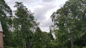 Ein Garten mit erhöhten Beeten und einem sich hindurchziehenden Weg.