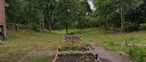 Àrea exterior de l'allotjament