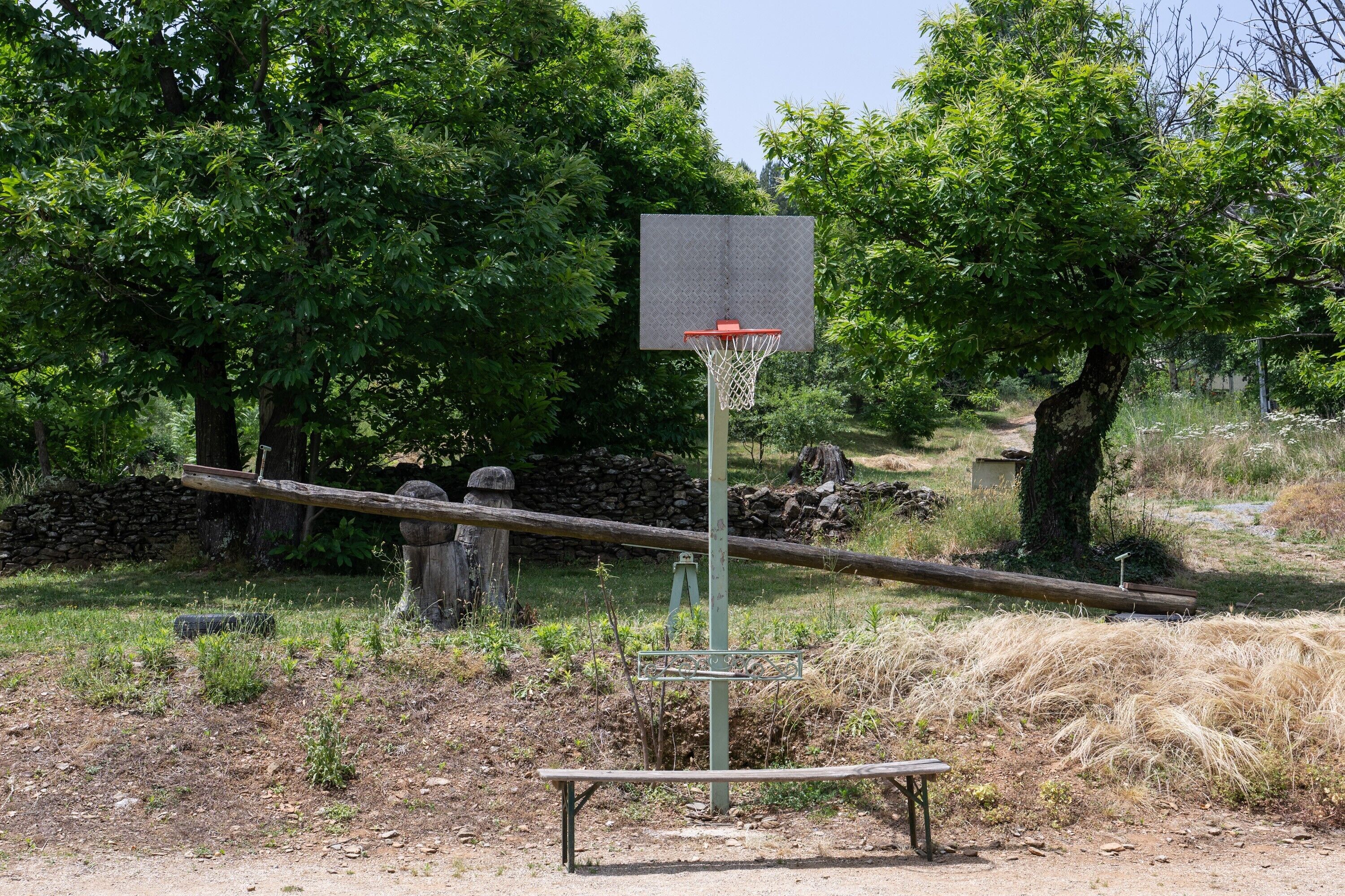 Un panier de basket installé dans un environnement naturel, avec des arbres et un mur de pierre en arrière-plan.
