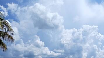 บริเวณภายนอก