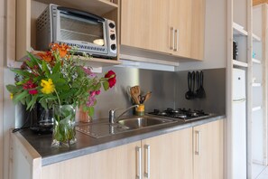Fridge, microwave, oven, stovetop - Apartment 'Kevin- Mas Lachamp' with Mountain View, Shared Pool and Air Conditioning (Gravière)