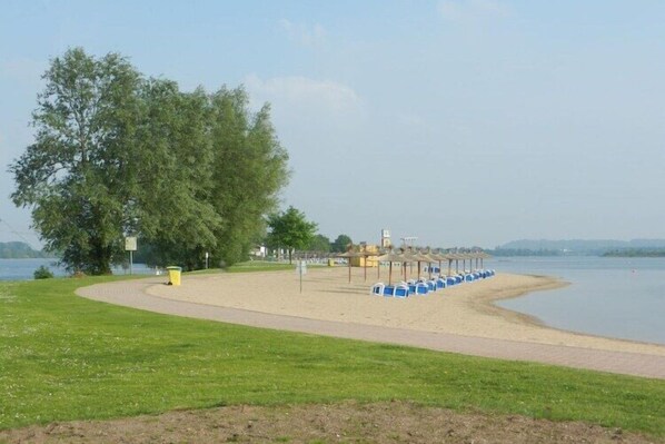 A lakeside park with a sandy path, blue seating, and a large tree.