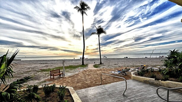 A beachside walkway with palm trees, a bench, and lounge chairs.