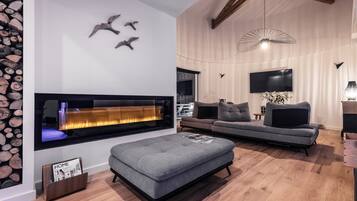 TV, fireplace