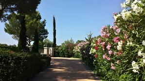 Un chemin menant à un bâtiment doté d’une entrée fermée par un portail, entouré d’une végétation luxuriante et de plantes en fleurs.