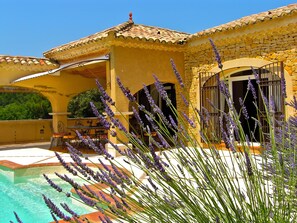 A yellow building with a stone facade, a pool, and lavender plants in the foreground. - Dolce Vita (Mondragon)