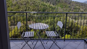 Un balcon donnant sur une colline boisée.