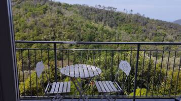 Un balcon donnant sur une colline boisée.