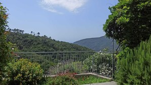 Un chemin pavé mène à un bâtiment entouré d’une clôture en métal et bordé d’une végétation luxuriante.