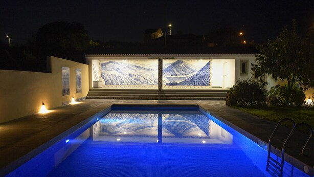 A swimming pool with a view of a snowy mountain at night.