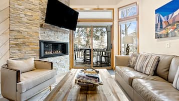 智能電視、壁爐、書籍