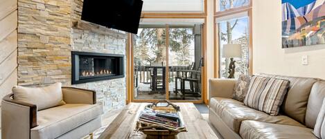 Smart TV, fireplace, books