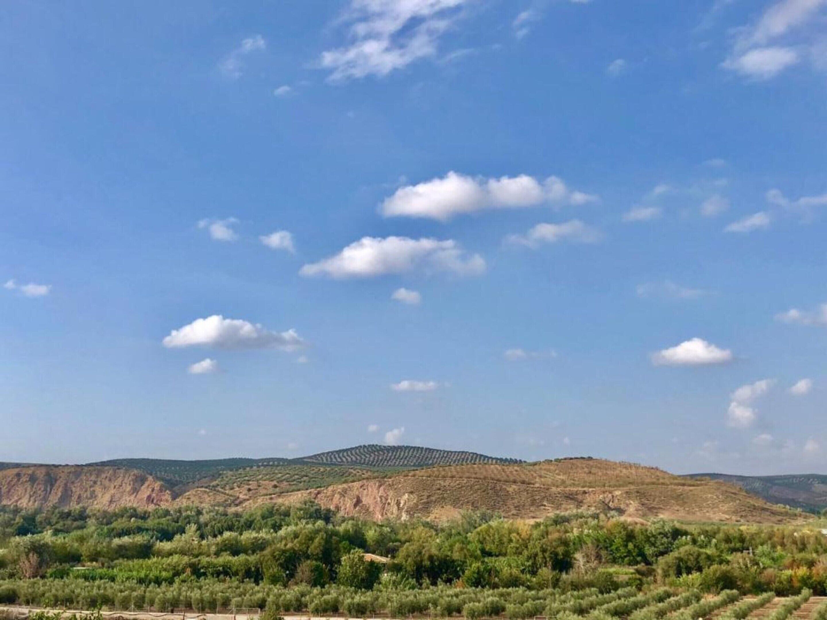 Vista dalla struttura