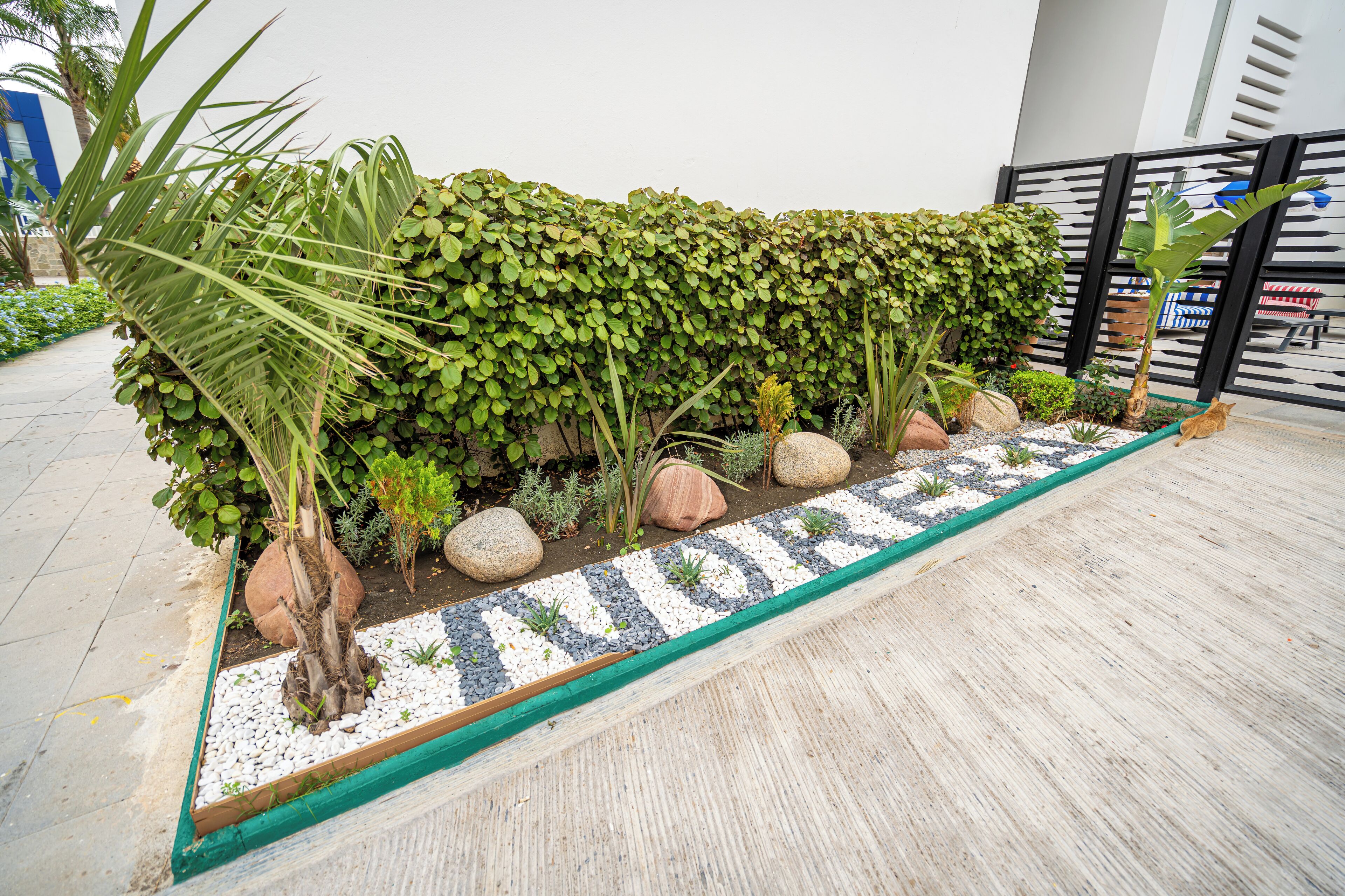 A landscaped garden area with a variety of plants and a decorative pathway.